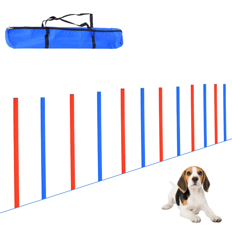 Pet Agility Set Training Play Kit Dog Hoop Poles Tunnel Obedience Equipment | Wag & Ride product image 1
