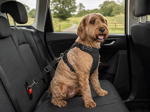 Adjustable Dog Safety Belt - Wag & Ride UK dog travel accessory